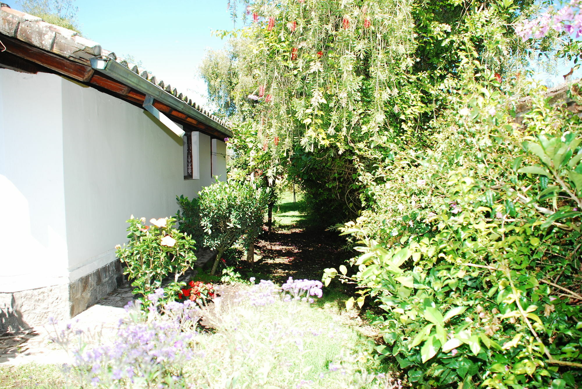 Hosteria Airport Garden Tababela Exterior foto